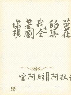 你是我的荣耀电视剧全集在线观看免费播放