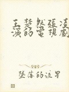 王楚然张凌赫主演的电视剧