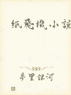 纸飞机小说