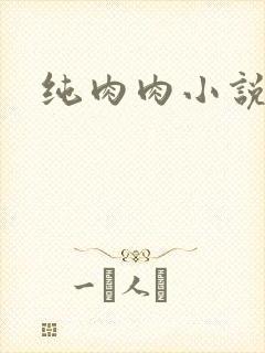 纯肉肉小说