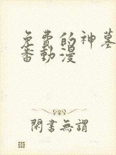 免费的神墓 年番动漫