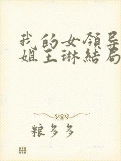 我的女领导们陈姐王琳结局