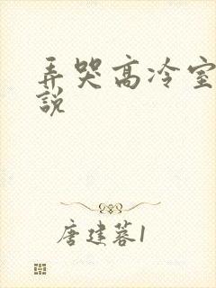 弄哭高冷室友小说