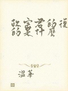 政宗君的复仇讲的是什么