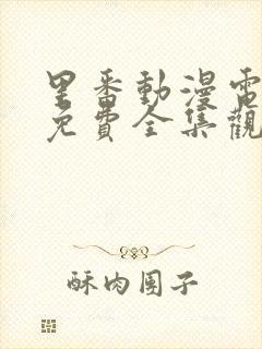 里番动漫电视剧免费全集观看网站