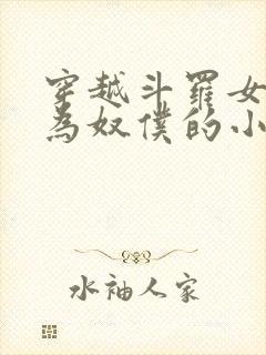 穿越斗罗女人变为奴仆的小说