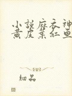 小说麻衣神婿陈黄皮叶红鱼封面