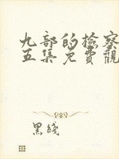 九部的检察官第五集免费观看