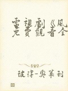 电视剧《风云》免费观看全集封面