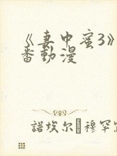 《妻中蜜3》里番动漫