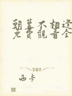 朝暮不相逢短剧免费观看全集