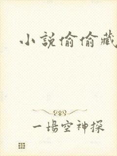 小说偷偷藏不住封面