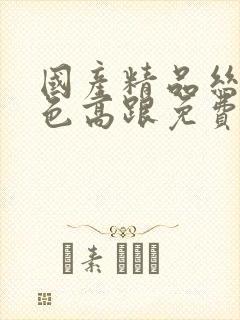 国产精品丝袜黑色高跟免费看封面