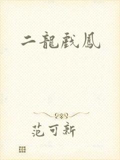 二龙戏凤