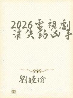 2026电视剧消失的凶手免费观看封面