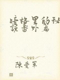 暗格里的秘密小说番外篇