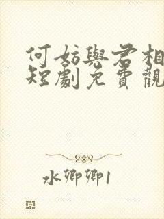 何妨与君相决绝短剧免费观看