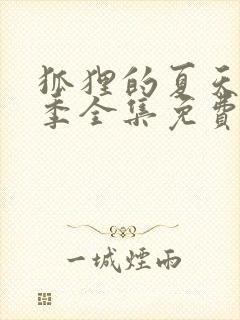 狐狸的夏天第一季全集免费看