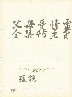 父母爱情电视剧全集45免费观看