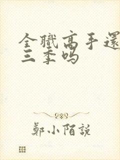 全职高手还有第三季吗