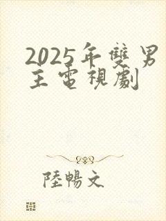 2025年双男主电视剧