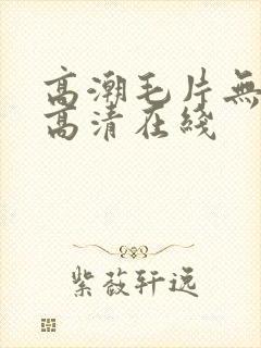 高潮毛片无遮挡高清在线