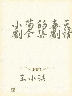 小菊的春天电视剧全集剧情