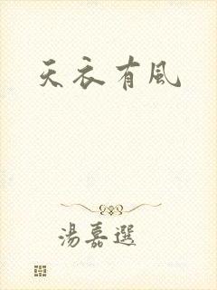 天衣有风封面