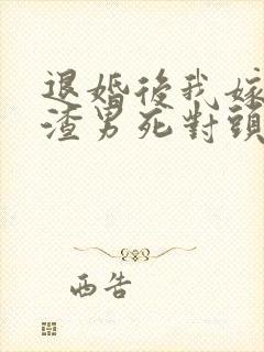 退婚后我嫁给了渣男死对头