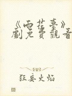 《雨花台》谍战剧免费观看全集高清