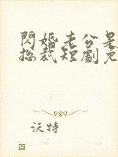 闪婚老公是亿万总裁短剧免费观看