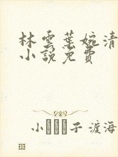 林云叶婉清穿越小说免费