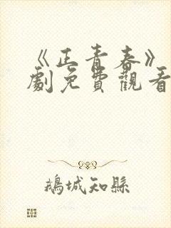 《正青春》电视剧免费观看