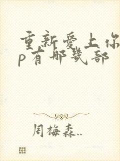 重新爱上你副cp有哪几部封面