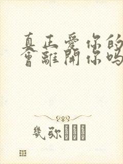 真正爱你的人不会离开你吗封面