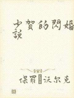 少贺的闪婚暖小说