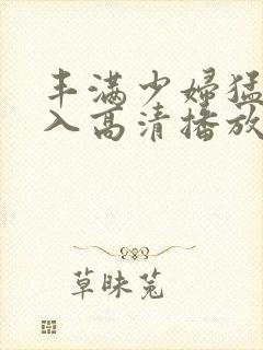 丰满少妇猛烈进入高清播放