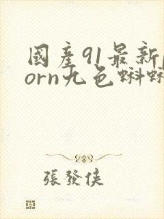 国产91最新porn九色蝌蚪网站