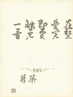 一触即爱在线观看免费完整版电视剧