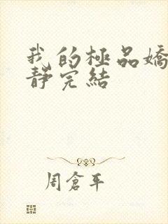 我的极品娇妻白静完结