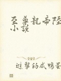 至尊龙帝陆鸣 小说