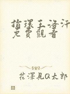 指环王洛汗之战免费观看封面