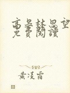 高晏林思望全文免费阅读封面