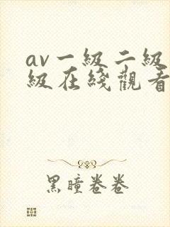 av一级二级三级在线观看