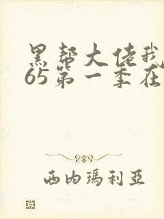 黑帮大佬我的365第一季在线