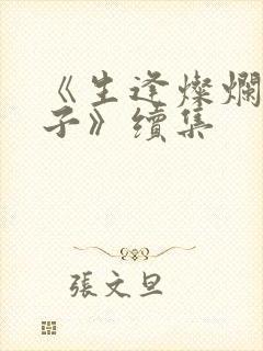 《生逢灿烂的日子》续集