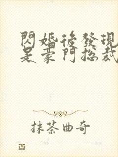 闪婚后发现老公是豪门总裁 全本