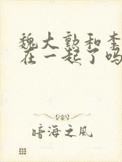 魏大勋和李沁真在一起了吗封面