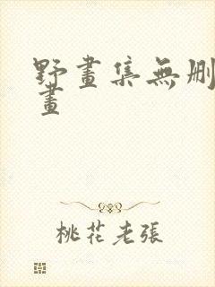 野画集无删减漫画