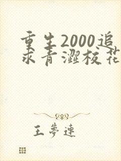 重生2000追求青涩校花同桌开始在线全文阅读
